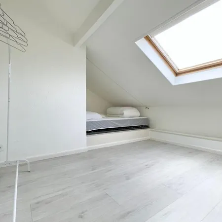 Apartment Beautiful Duplex In The City Centre With Terrace - For 4 People #Ch Grenoble